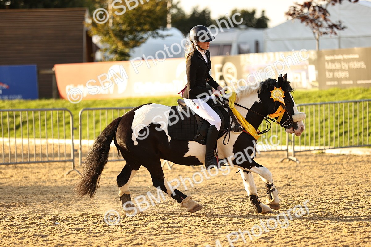 SBM_56150 - J10 - Junior Pony 75cm Championship
