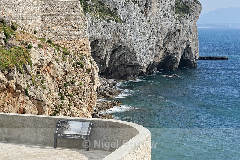 Gorham's Cave Complex, Gibraltar - Gibraltar