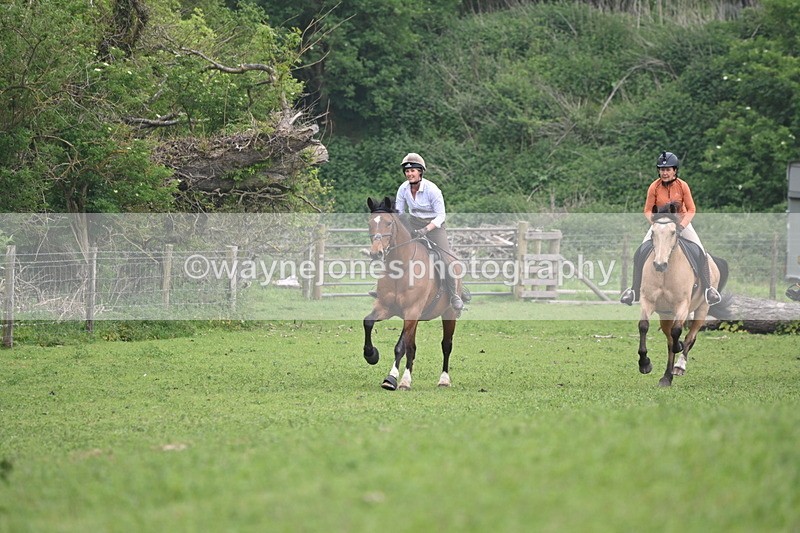 WJ6_2582 - A camera