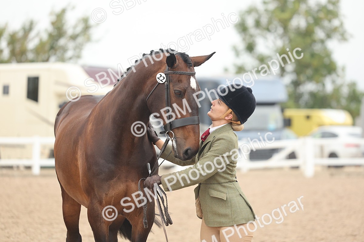 SBM_19881 - Class 318 - IH Part Bred Horse-Pony