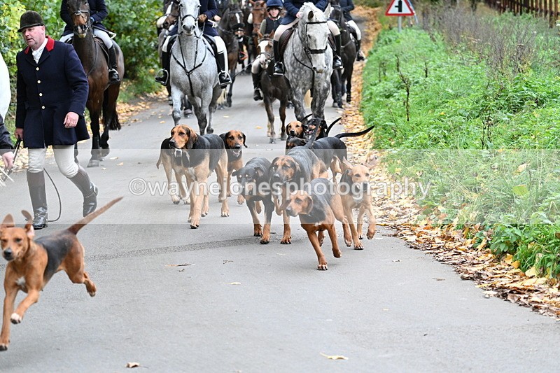 WJ7_7192 - Walk Home..