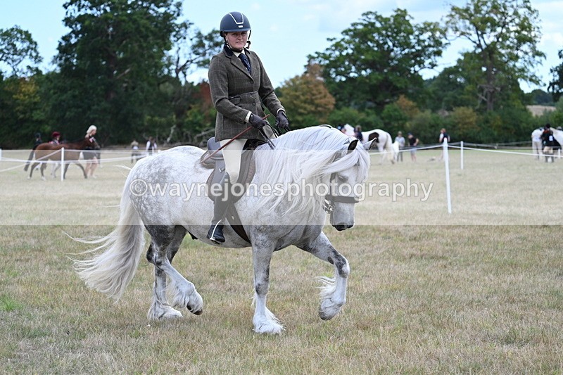 WJ7_4929 - Class 12 Ridden Cob