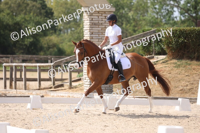 20260815-0986 - Class 5 - Novice 1