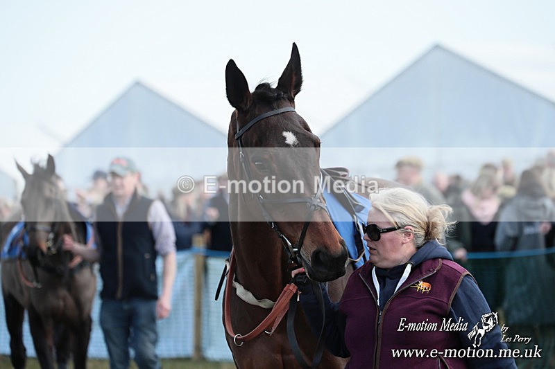 PtP 010325 169 - Beaufort Races Didmarton 01/03/25