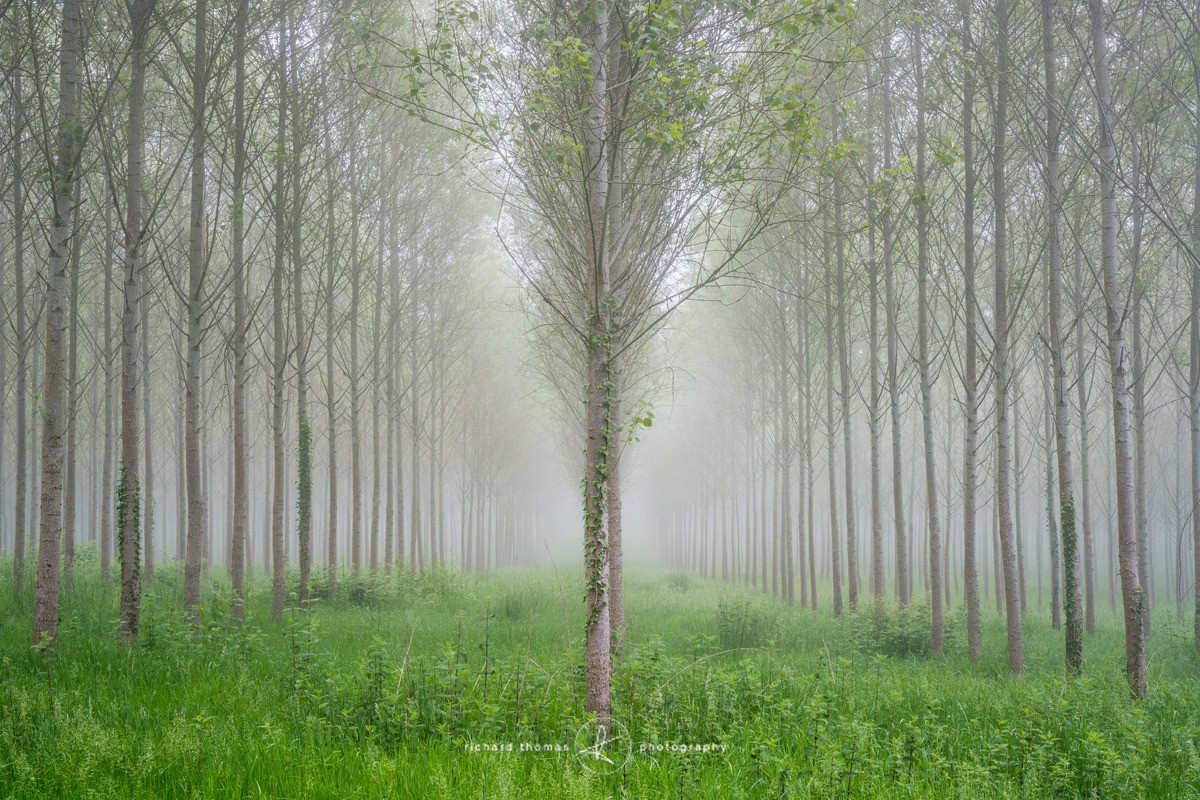 Along the lines - Order