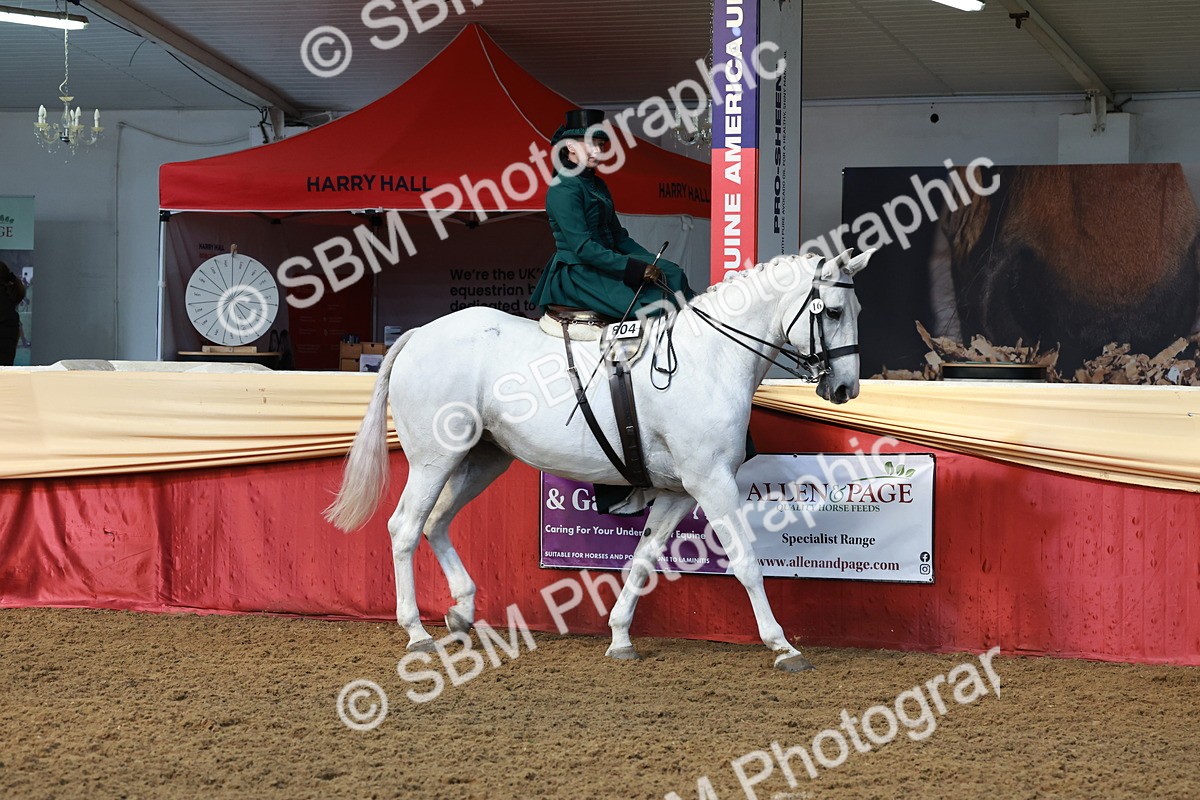 SBM_13539 - Class 105 - Ridden Costume - Side Saddle