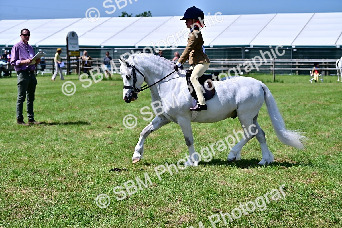 SBM_06037 - Class 59-60 - TSR M&M  Lear Rein and First Ridden Amateur of the year