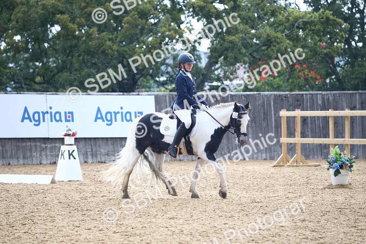 SBM_42786 - D21 - Junior Championship Intro 1