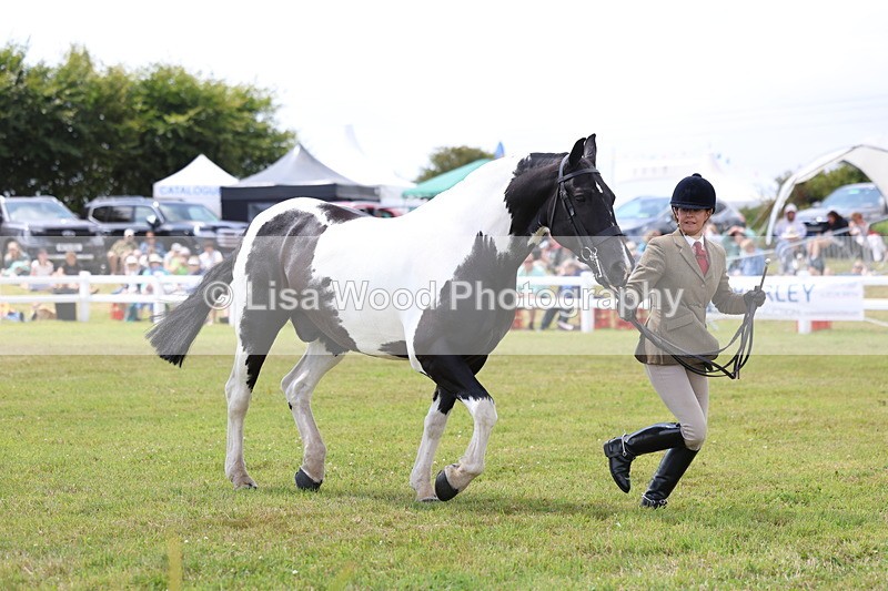 3E7A2106 - Class 10: Open Cob