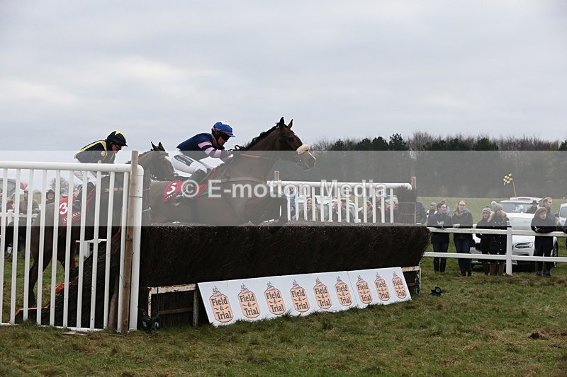 PtP 060119 134 - Larkhill Racing Club - Point-to-Point- 06/01/2019
