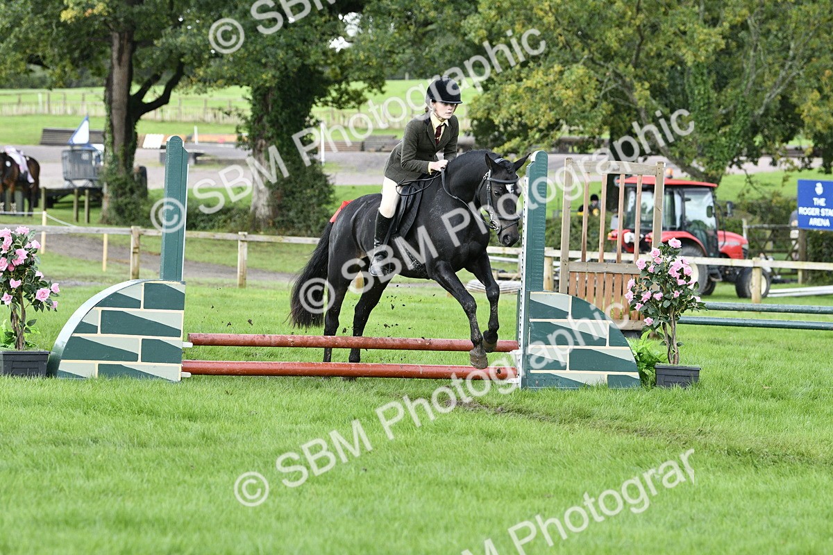 SBM_41503 - S32 - Mountain & Moorland Working Hunter Pony
