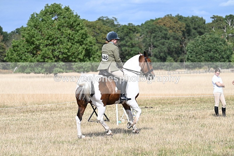 WJ7_7427 - Class 14 Ridden Coloured