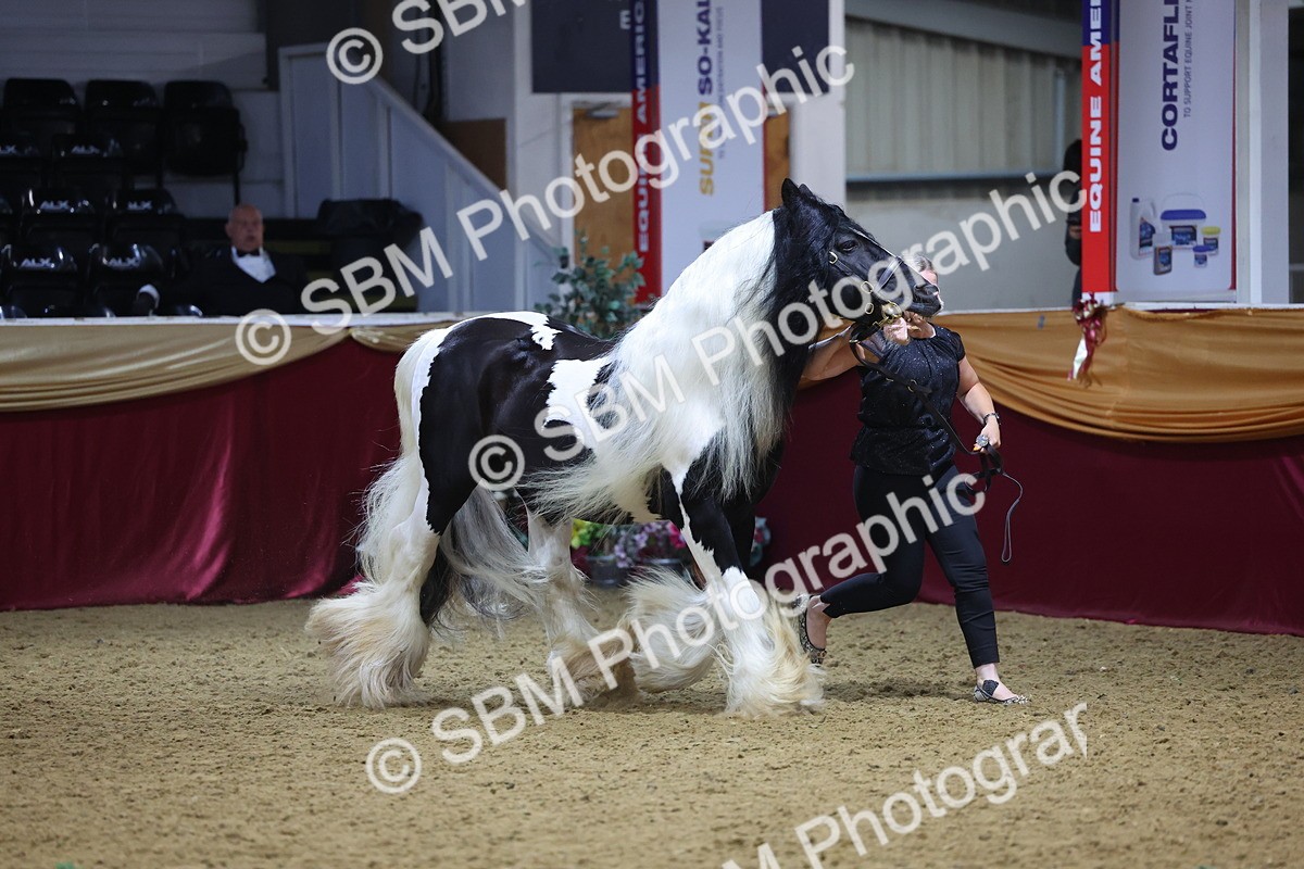 SBM_21025 - Class 902 - Supreme Final IH Veteran