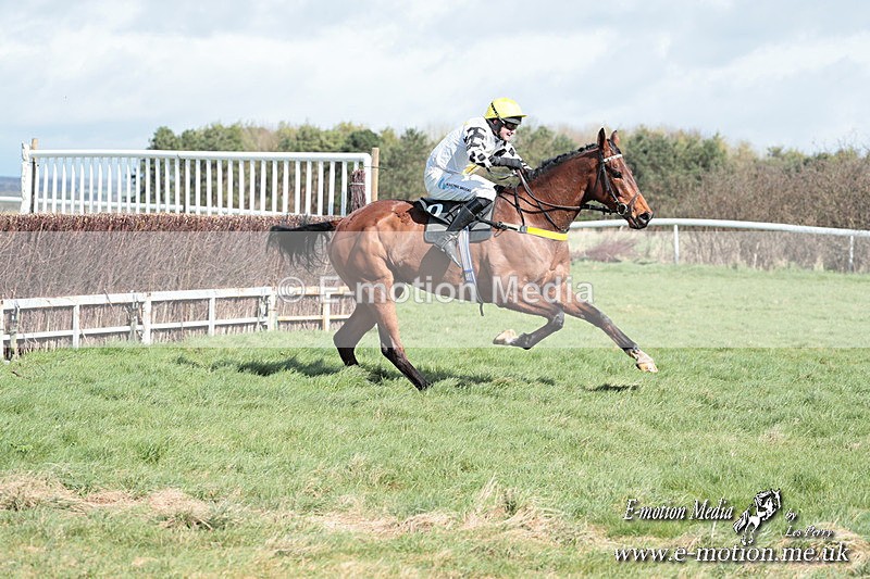PtP 230324 293 - Tedworth Hunt PtP Larkhill Raccourse 23rd March 2024