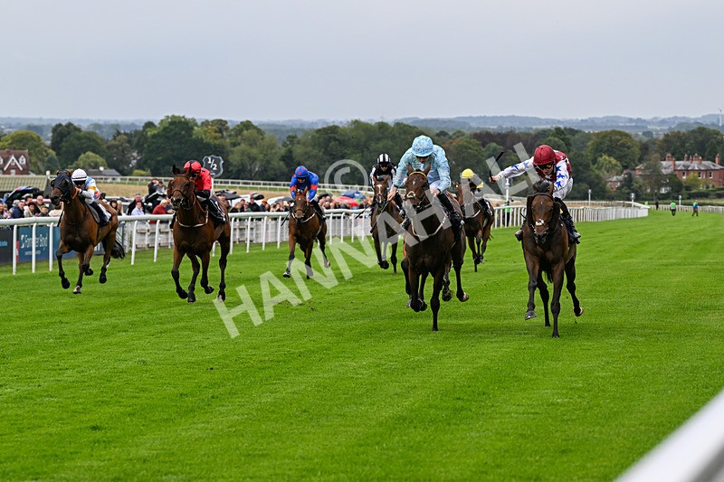 290826-Race 3-Fans Favourite-6455 - Race 3 2.55pm Dearing Plastics Celebrating 40 Years Handicap