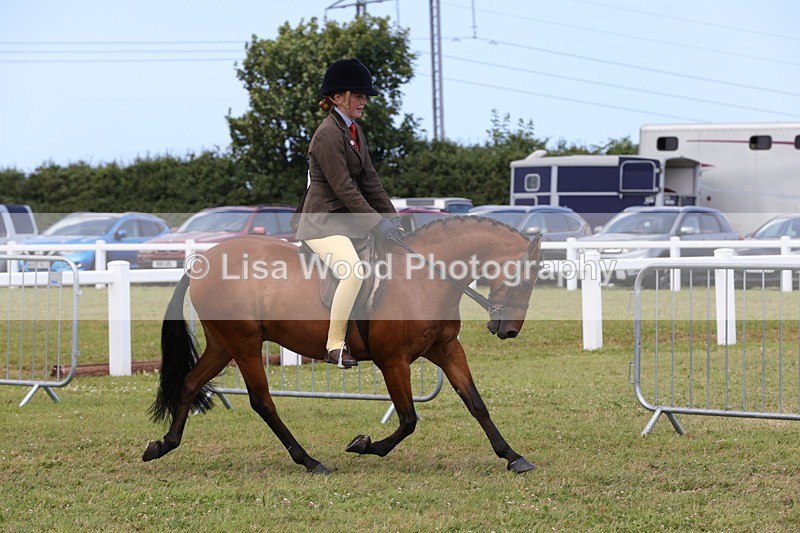 1X9A4317 - Class 34: Veteran Ridden