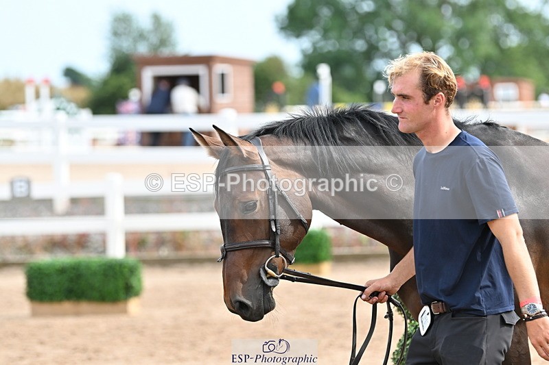 240717A-164531-03524 - Trot Up 4pm to 5pm