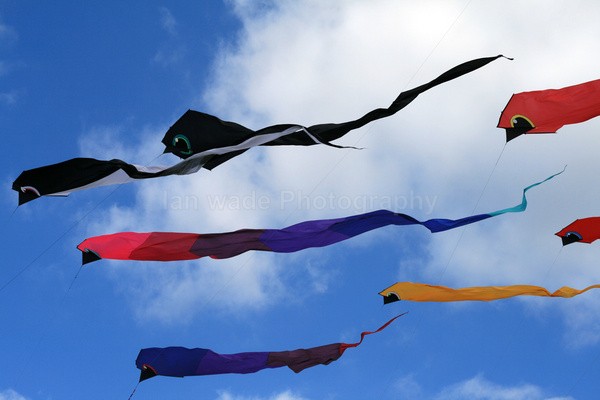  - Festivals & people