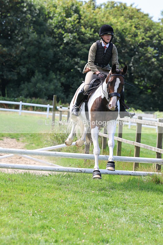 3E7A8613 - Class 5: Working Show Horse