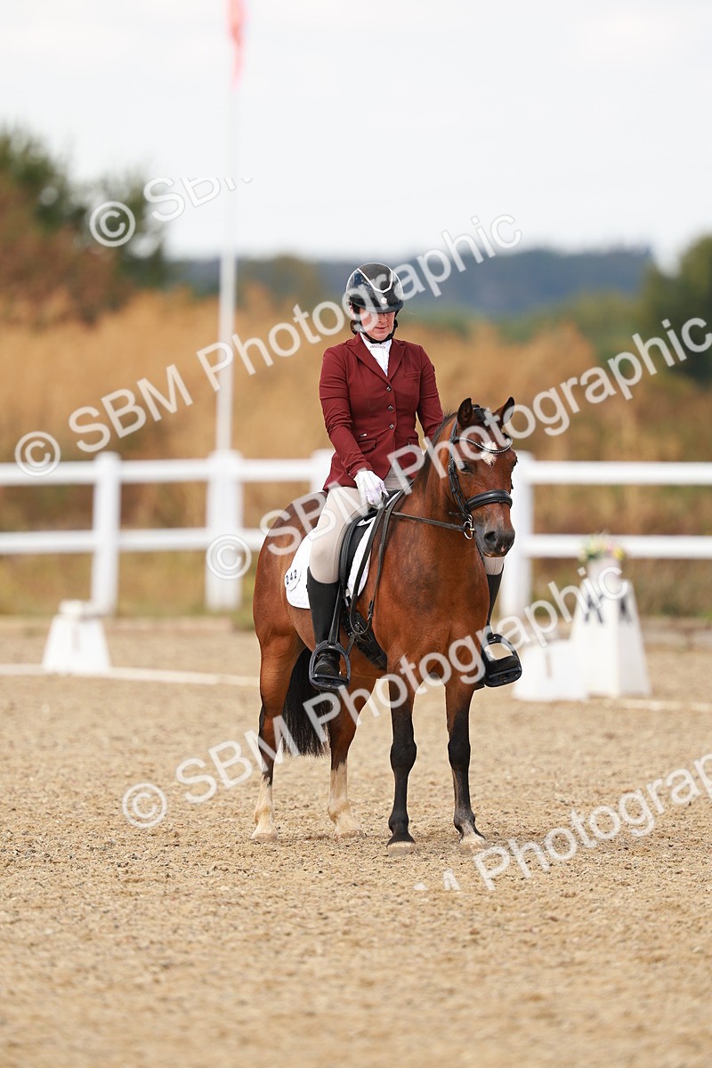 SBM_018657 - Class 9 - N5 Bronze 11.57.13.07