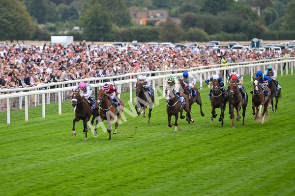 230825-Race 2-Tarriance-9979 - Race 2 2.25pm Sky Bet Melrose Handicap