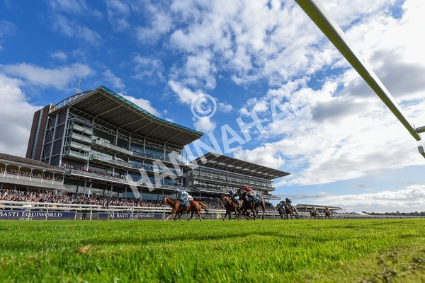 141023-Race 2-Whiskey Pete-3903 - Race 2 1.50pm Play Coral 'Racing-Super-Series' For Free Nursery Handicap