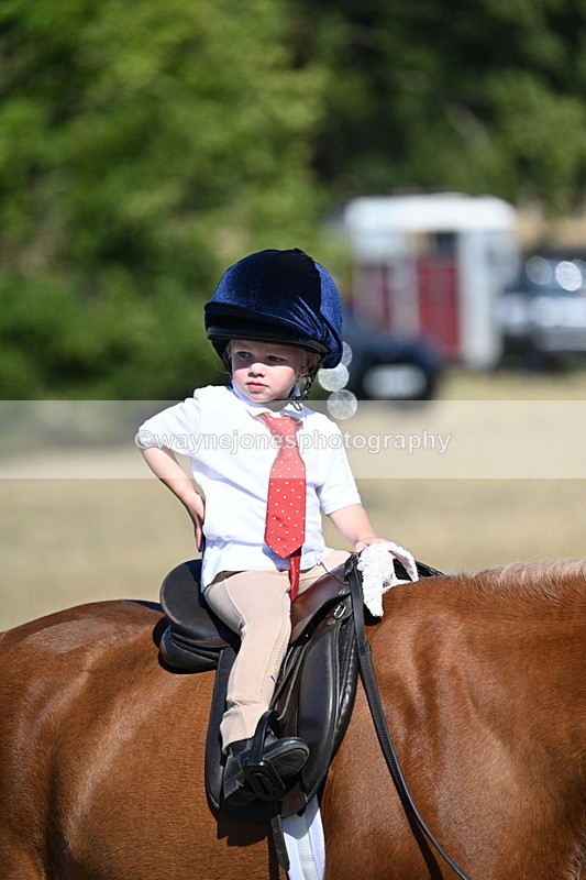 WJ7_2085 - Class 44 Child's Best Friend