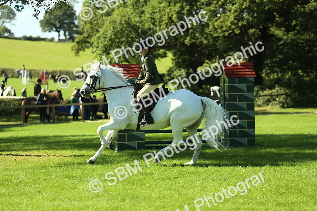 SBM_39184 - S29 - Novice & Newcomers Working Hunter Pony