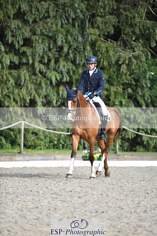 230525-175010-03607 - 131-FORTSIDE_COBRA-Freddie_Carden-WEDTrotUp+DR