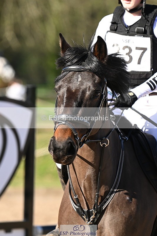 250302A-103632-01534 - Cls 01 70-75cm