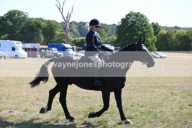 WJ6_7471 - Class 34 Judges Choice