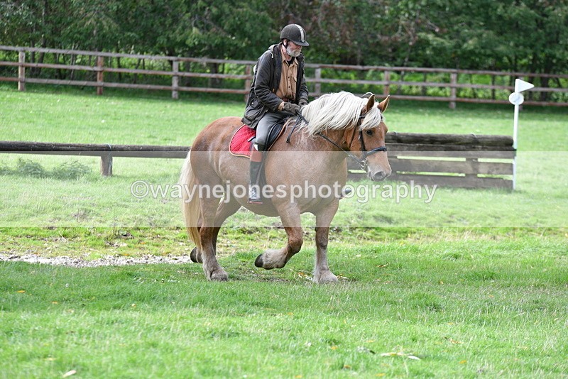 WJ5_9334 - Time 13:03 to 13:25