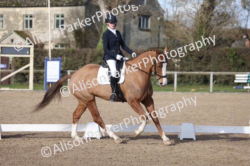 20260214-0610 - Class 5 - Novice 3