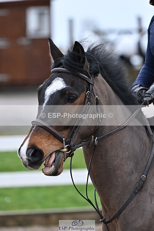 250129-093351-00007 - Cls 01 Snr Brit Nov - 90 Open & CR