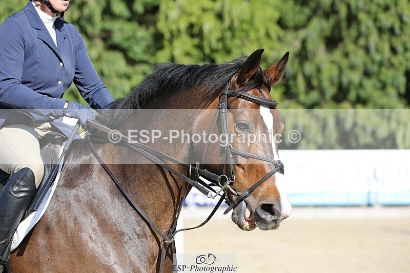 230709-171641-20784 - Cls 37 Foxhunter & 1.20m Open