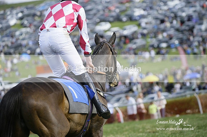 PtP 180422 192 - Old Berkshire PtP Lockinge 18/04/22