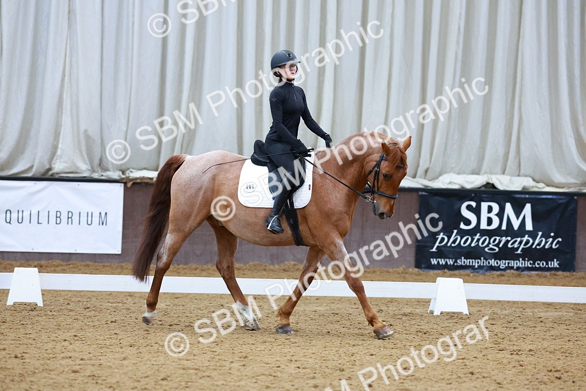 1I0A0944 - Class 3-6 - Prelim 1-Novice 2