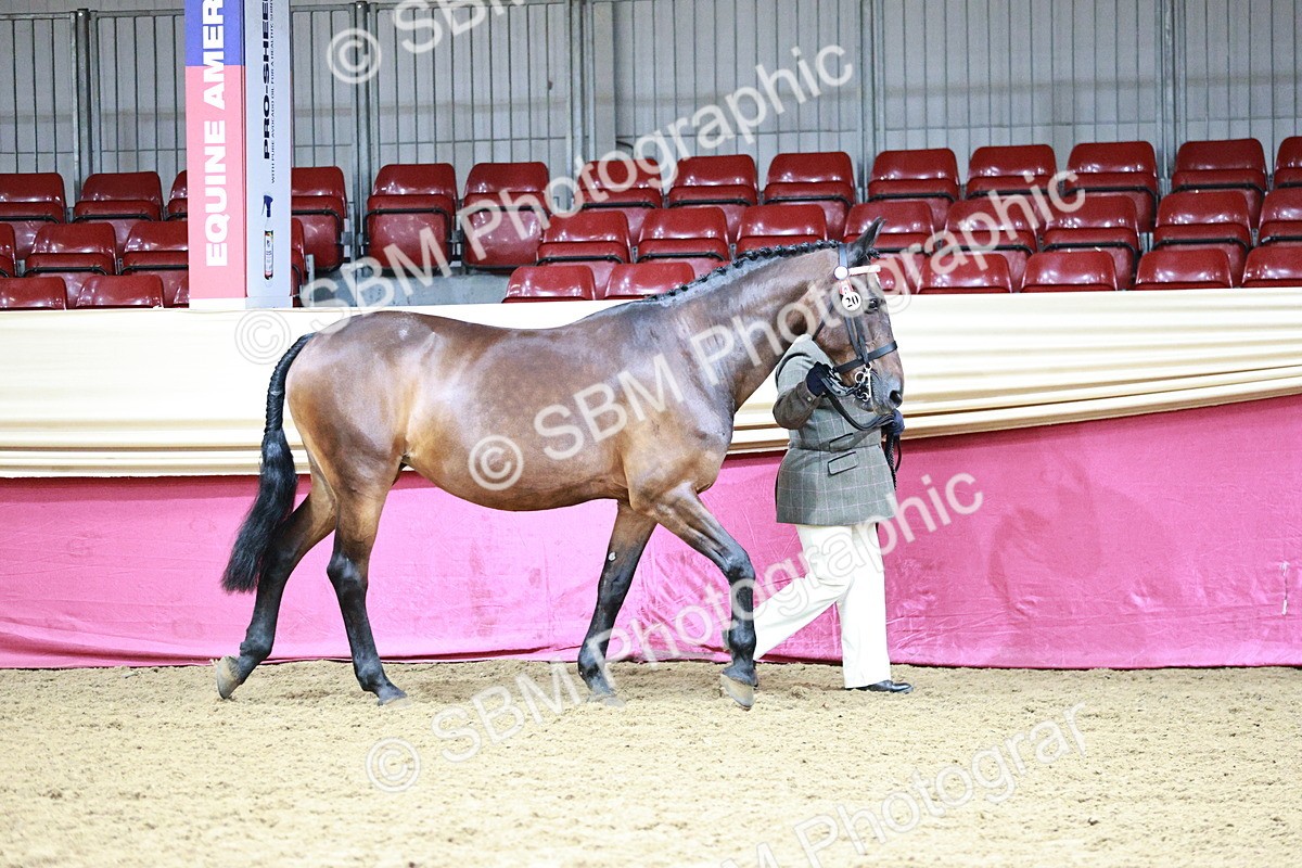 SBM_00833 - Class 2A - Area IH Veteran
