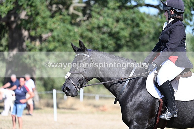 WJ7_9223 - Time 09:27 to 10:03