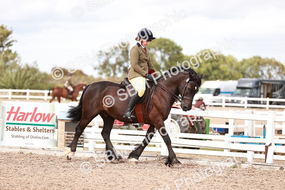 SBM_18376 - Class 418 - Best Condition - Jnr