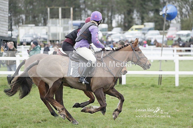 PtP 260323 0091 - New Forest Hounds Point-to-Point Larkhill 26/03/23