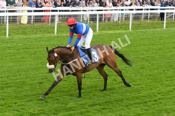 yr11062022r2-72 - Race 2 2.00pm Queen Mother's Cup