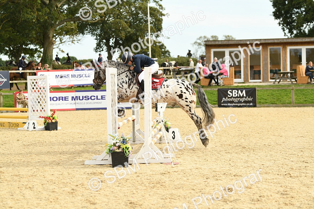 SBM_71085 - J15 - Junior Pony 70cm Championship