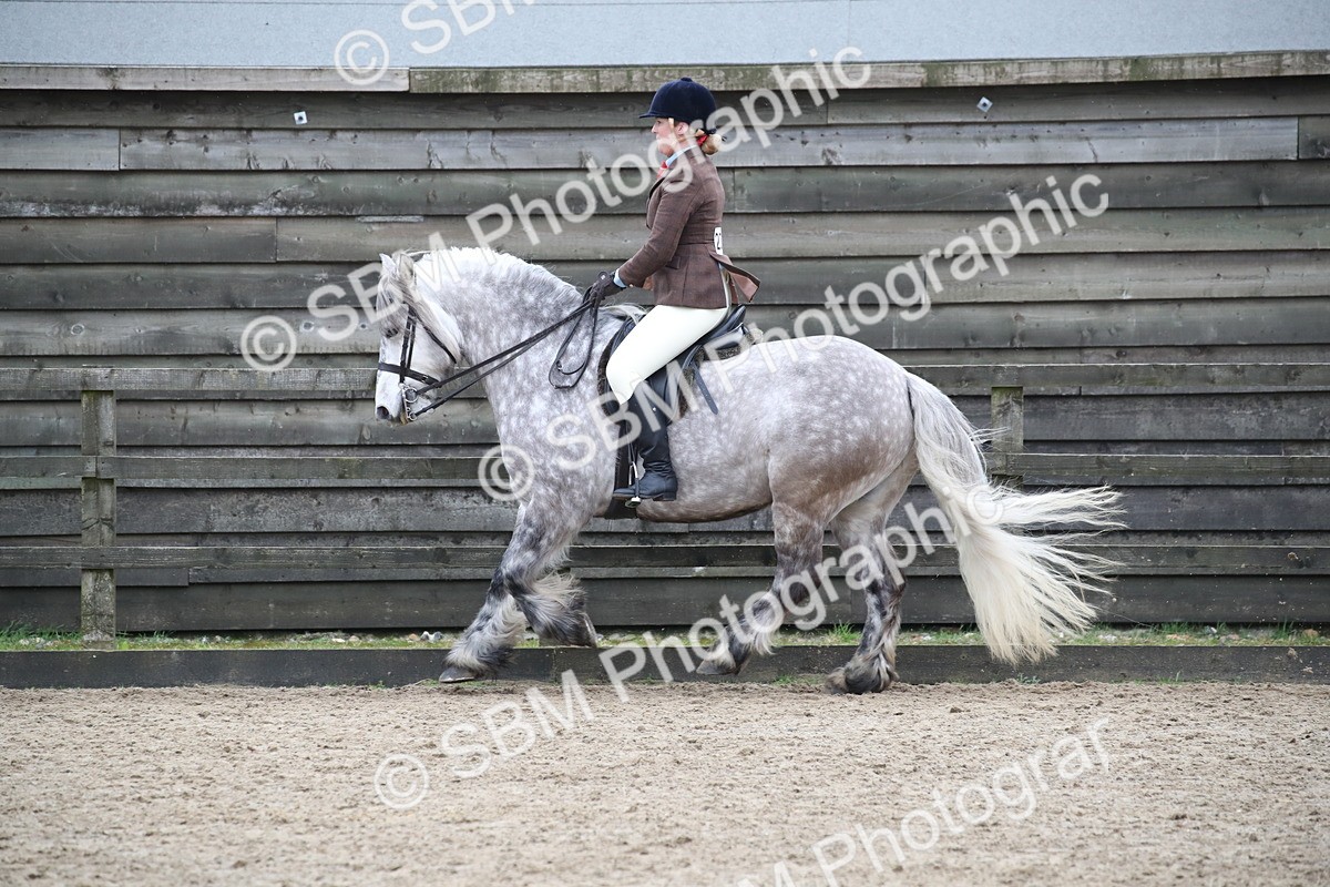 SBM_007236 - Class 10-13 - RIHS Small Large Breeds