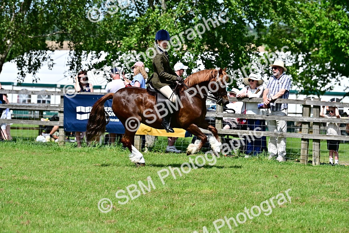 SBM_07905 - Class 61-62 - TSR  M&M Ridden Amateur of the Year
