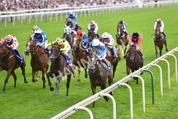 yr20082021r1-30 - Race 1 1.50pm Sky Bet Stakes