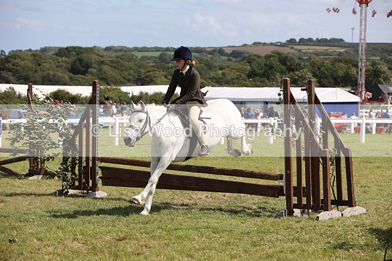 JPP_2245 - Class 19: Working Hunter 60cm