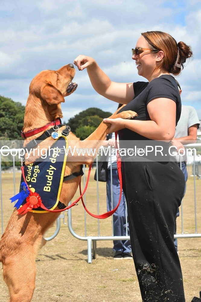 SH4_0254 - Dog show.