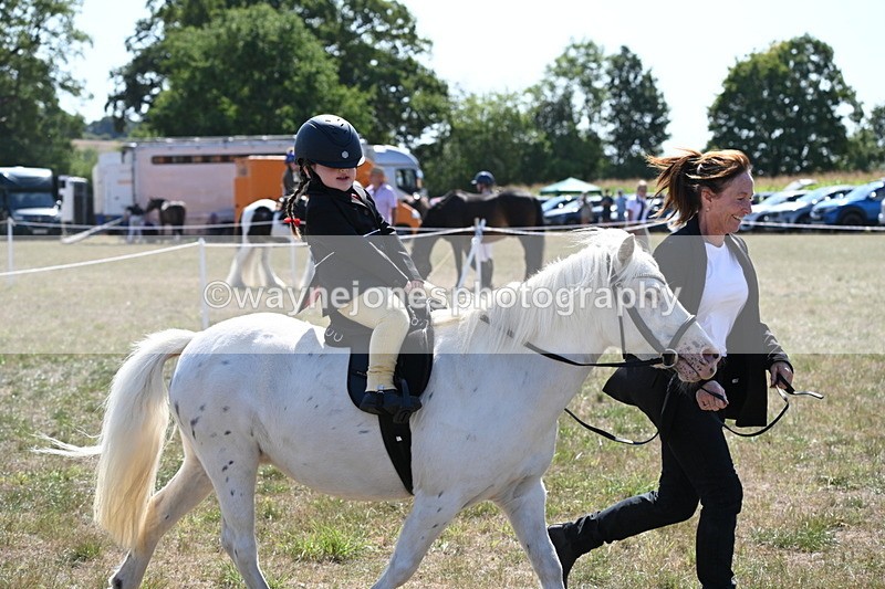 WJ6_7897 - Class 36 Lead Rein