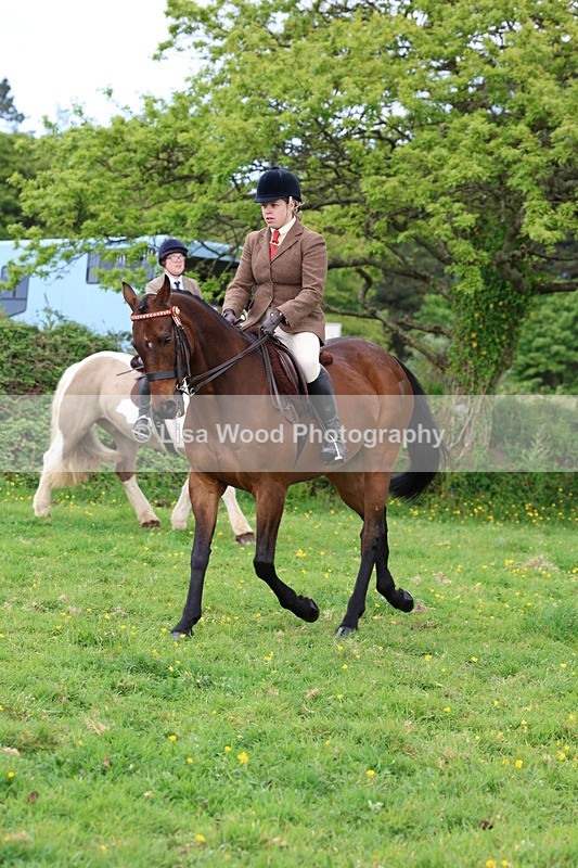 3E7A1474 - Class 8: Ridden Veteran Junoir and Senior